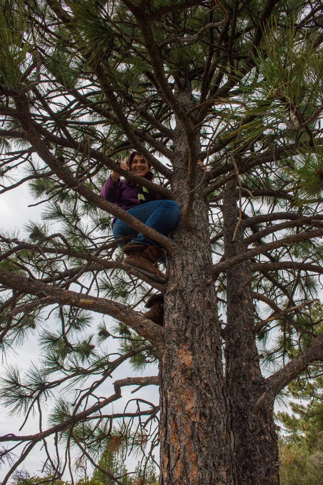 BigBearJan2014_20140125_DSC_1039